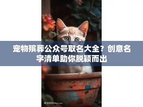 宠物殡葬公众号取名大全？创意名字清单助你脱颖而出