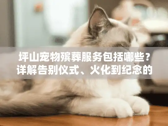 坪山宠物殡葬服务包括哪些？详解告别仪式、火化到纪念的全流程