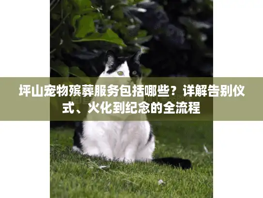 坪山宠物殡葬服务包括哪些？详解告别仪式、火化到纪念的全流程
