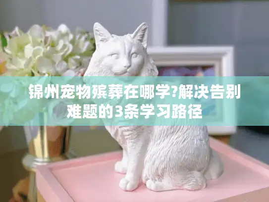 锦州宠物殡葬在哪学?解决告别难题的3条学习路径