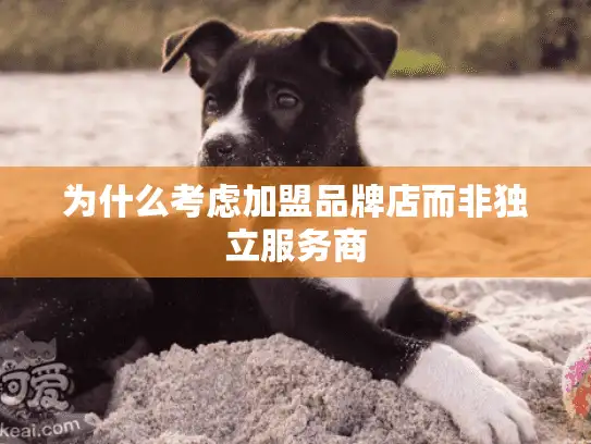 为什么考虑加盟品牌店而非独立服务商