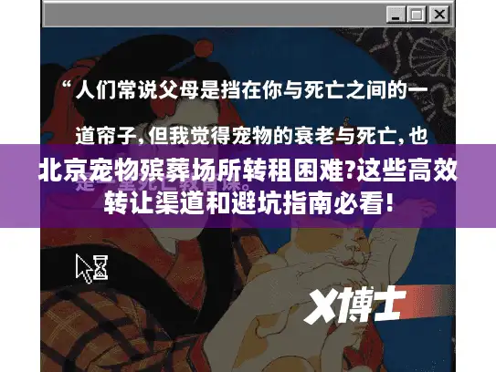 北京宠物殡葬场所转租困难?这些高效转让渠道和避坑指南必看!