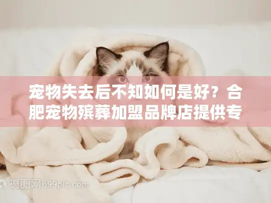 宠物失去后不知如何是好？合肥宠物殡葬加盟品牌店提供专业解决方案