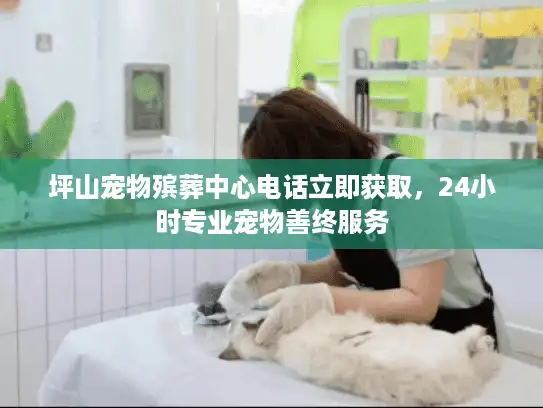 坪山宠物殡葬中心电话立即获取，24小时专业宠物善终服务