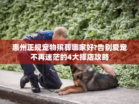 惠州正规宠物殡葬哪家好?告别爱宠不再迷茫的4大择店攻略