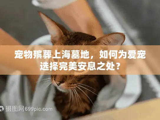 宠物殡葬上海墓地，如何为爱宠选择完美安息之处？