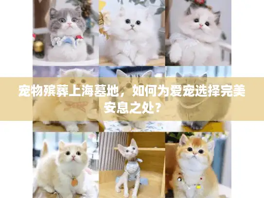 宠物殡葬上海墓地，如何为爱宠选择完美安息之处？