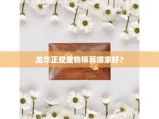 龙华正规宠物殡葬哪家好？