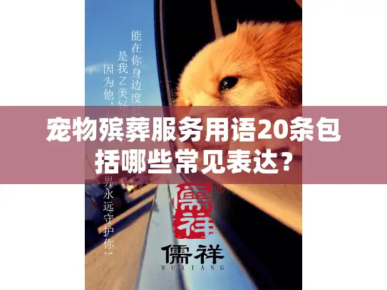 宠物殡葬服务用语20条包括哪些常见表达？
