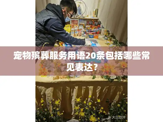 宠物殡葬服务用语20条包括哪些常见表达？