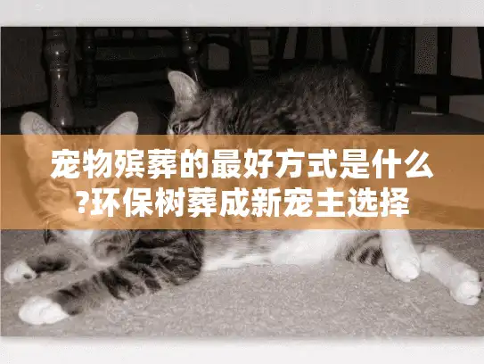 宠物殡葬的最好方式是什么?环保树葬成新宠主选择