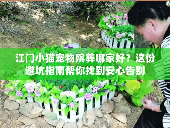 江门小猫宠物殡葬哪家好？这份避坑指南帮你找到安心告别