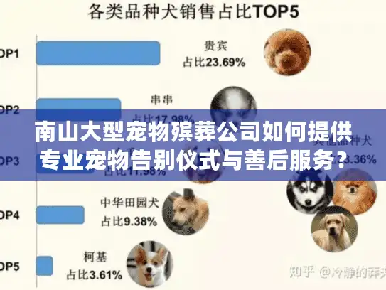 南山大型宠物殡葬公司如何提供专业宠物告别仪式与善后服务？