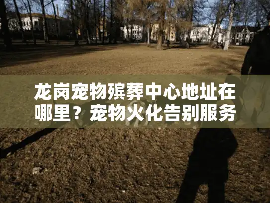 龙岗宠物殡葬中心地址在哪里？宠物火化告别服务场所位置详解