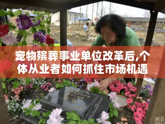 宠物殡葬事业单位改革后,个体从业者如何抓住市场机遇?