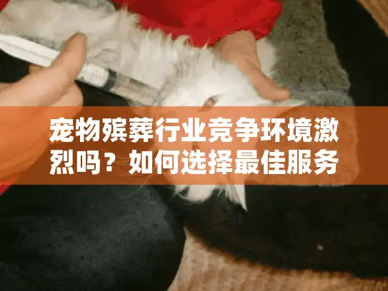 宠物殡葬行业竞争环境激烈吗？如何选择最佳服务？