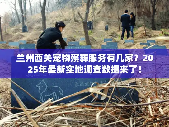 兰州西关宠物殡葬服务有几家？2025年最新实地调查数据来了！