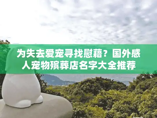 为失去爱宠寻找慰藉？国外感人宠物殡葬店名字大全推荐