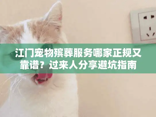 江门宠物殡葬服务哪家正规又靠谱？过来人分享避坑指南