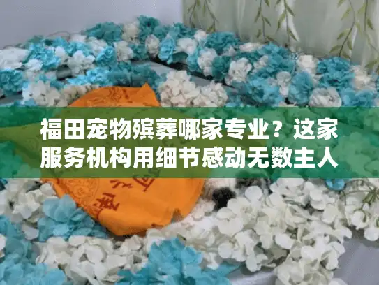 福田宠物殡葬哪家专业？这家服务机构用细节感动无数主人