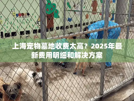 上海宠物墓地收费太高？2025年最新费用明细和解决方案