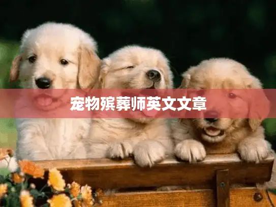 宠物殡葬师英文文章