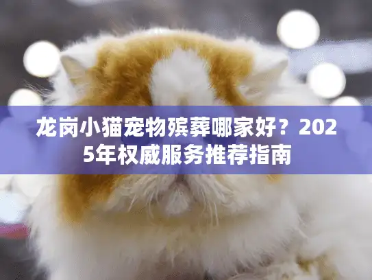 龙岗小猫宠物殡葬哪家好？2025年权威服务推荐指南
