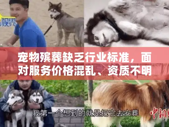 宠物殡葬缺乏行业标准，面对服务价格混乱、资质不明等问题该怎么办？