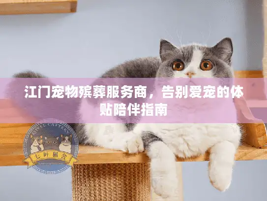 江门宠物殡葬服务商，告别爱宠的体贴陪伴指南