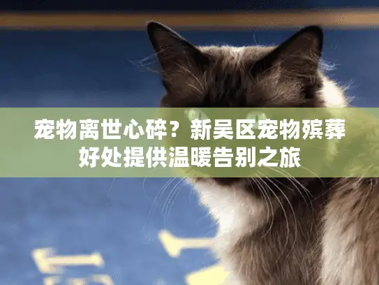 宠物离世心碎？新吴区宠物殡葬好处提供温暖告别之旅