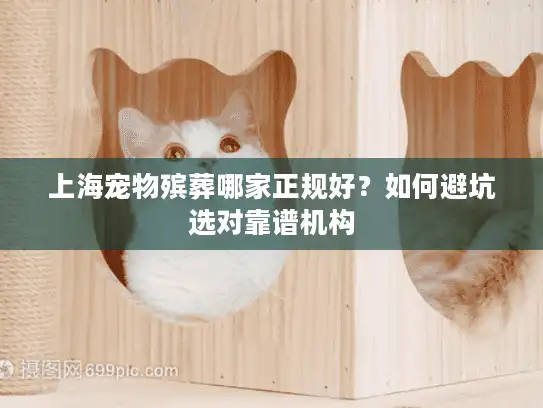 上海宠物殡葬哪家正规好？如何避坑选对靠谱机构