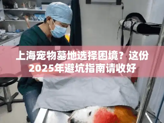 上海宠物墓地选择困境？这份2025年避坑指南请收好