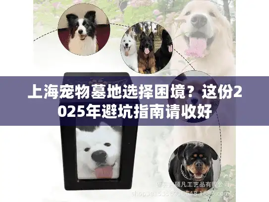 上海宠物墓地选择困境？这份2025年避坑指南请收好