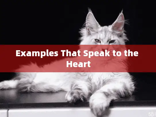 Examples That Speak to the Heart