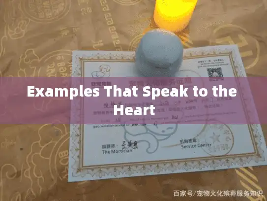 Examples That Speak to the Heart