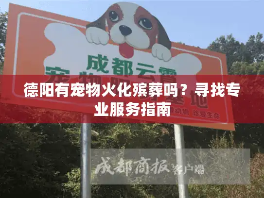 德阳有宠物火化殡葬吗？寻找专业服务指南
