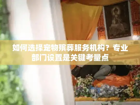 如何选择宠物殡葬服务机构？专业部门设置是关键考量点