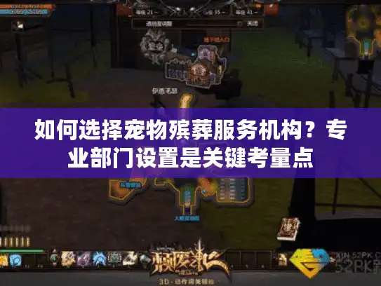 如何选择宠物殡葬服务机构？专业部门设置是关键考量点