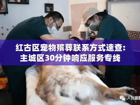 红古区宠物殡葬联系方式速查:主城区30分钟响应服务专线