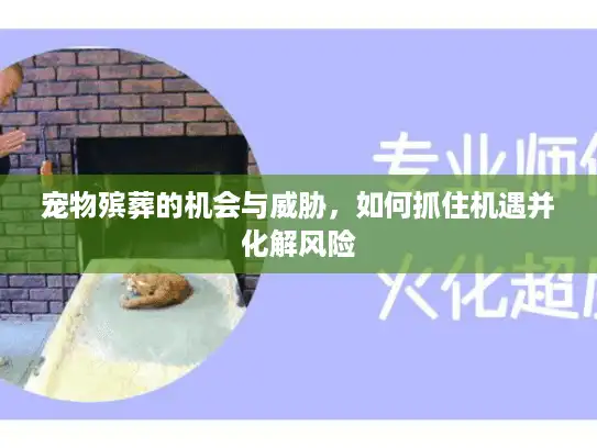 宠物殡葬的机会与威胁，如何抓住机遇并化解风险