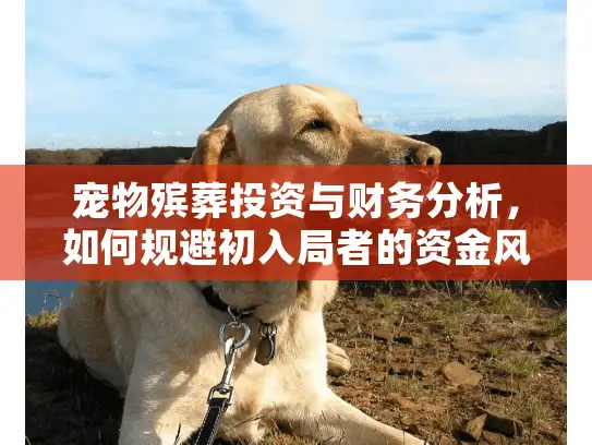 宠物殡葬投资与财务分析，如何规避初入局者的资金风险？