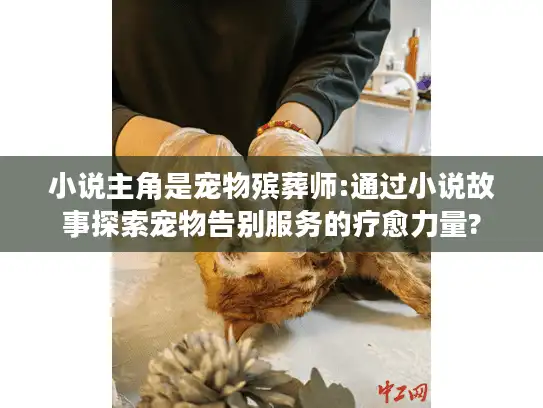 小说主角是宠物殡葬师:通过小说故事探索宠物告别服务的疗愈力量?
