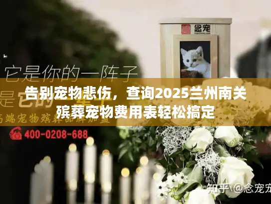 告别宠物悲伤，查询2025兰州南关殡葬宠物费用表轻松搞定