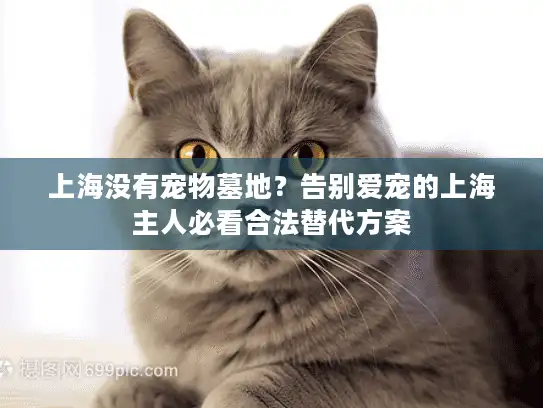 上海没有宠物墓地？告别爱宠的上海主人必看合法替代方案