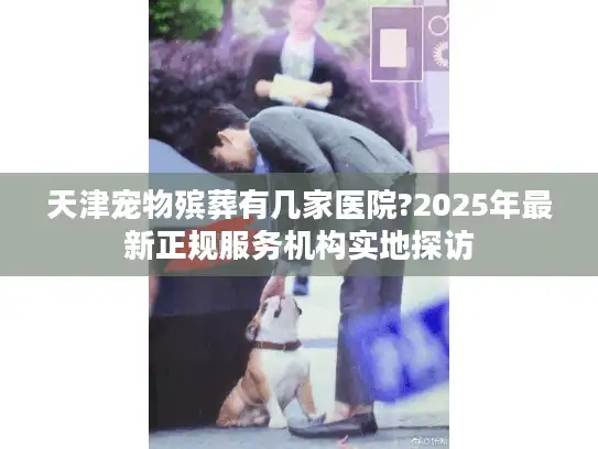 天津宠物殡葬有几家医院?2025年最新正规服务机构实地探访