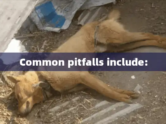 Common pitfalls include:
