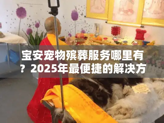 宝安宠物殡葬服务哪里有？2025年最便捷的解决方案全面解析
