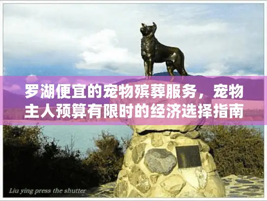 罗湖便宜的宠物殡葬服务，宠物主人预算有限时的经济选择指南