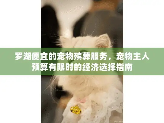 罗湖便宜的宠物殡葬服务，宠物主人预算有限时的经济选择指南