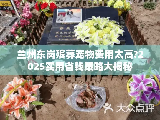 兰州东岗殡葬宠物费用太高?2025实用省钱策略大揭秘
